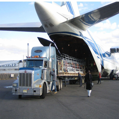 Carrier Logistics Ddu Dhl Express Freight From China To Japan