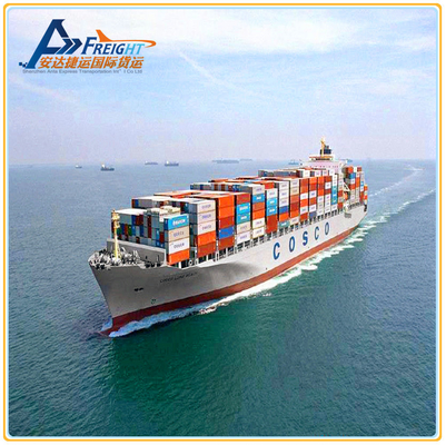 Door to Door Global Sea Freight Carriers DDU DDP Service From China to Australia