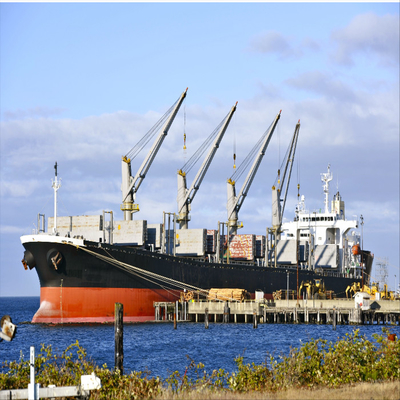 Ddu Ddp Logistic Sea Riders Freight Forwarder Service From Shenzhen To World