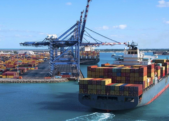 20FT 40FT International Sea Freight Forwarding , DDP Shipping From China To Pakistan