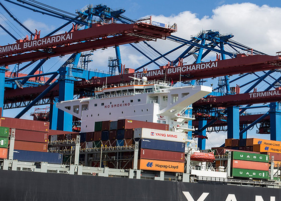 Safe International Sea Freight Forwarding From Shenzhen To Saudi Arabia