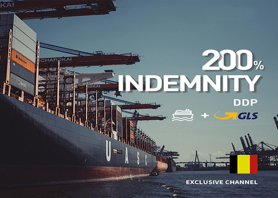 Safe International Sea Freight Forwarding From Shenzhen To Saudi Arabia