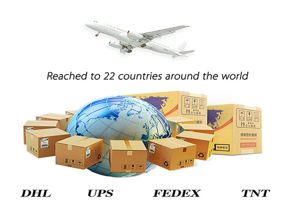 China To Iran International Sea Freight Services 20GP 40GP
