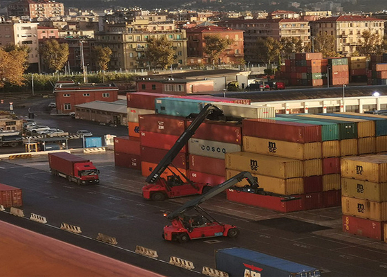 China To Iran International Sea Freight Services 20GP 40GP