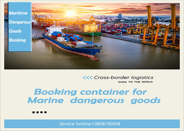 20FT 40FT International Sea Freight Forwarding , DDP Shipping From China To Pakistan
