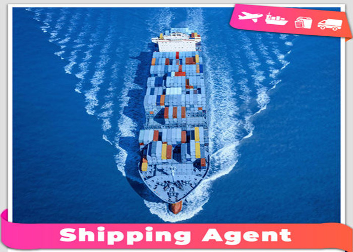 Safe International Sea Freight Forwarding From Shenzhen To Saudi Arabia