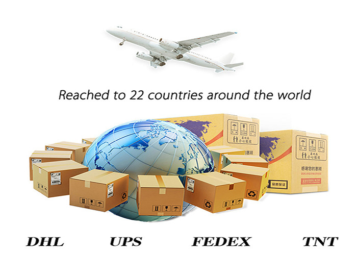 China To Iran International Sea Freight Services 20GP 40GP